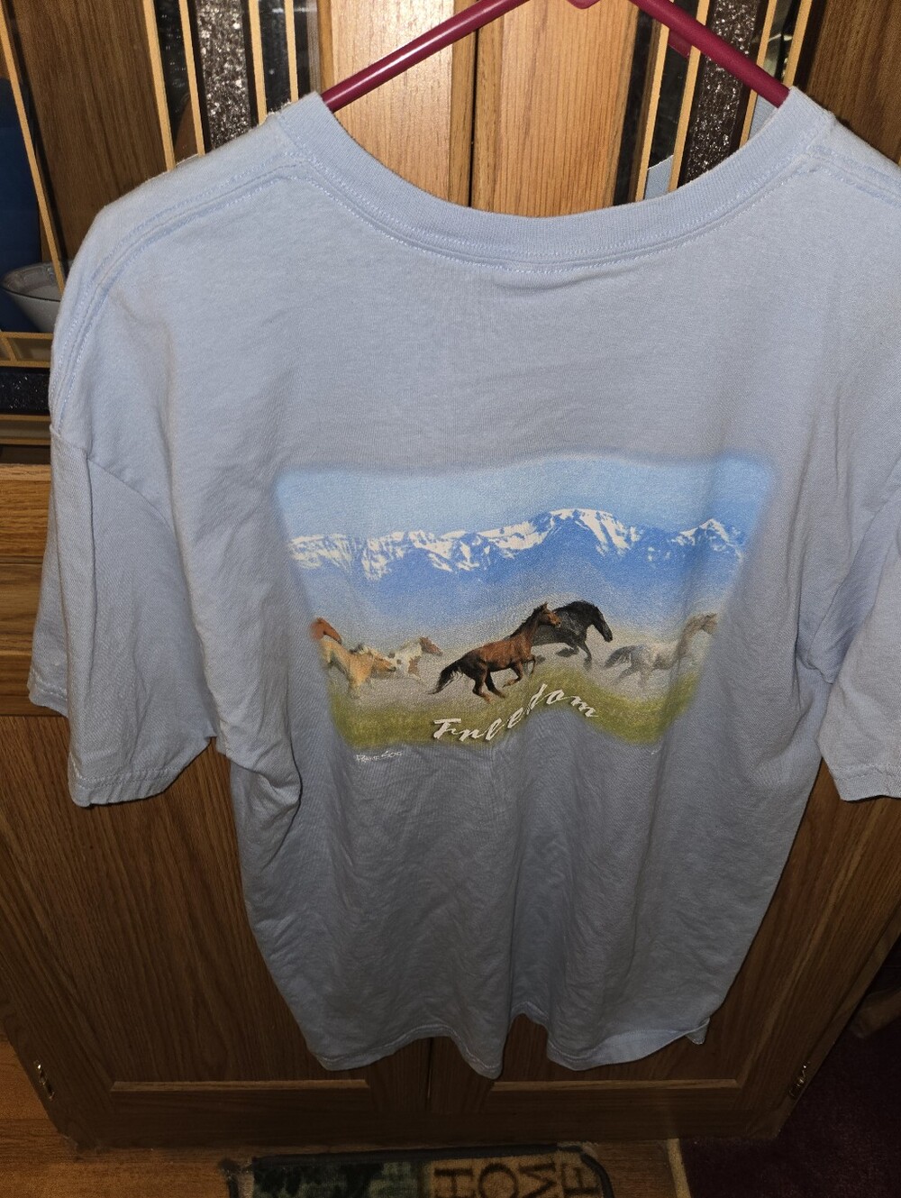 Freedom Horses Graphic Tee - Light Blue TShirt